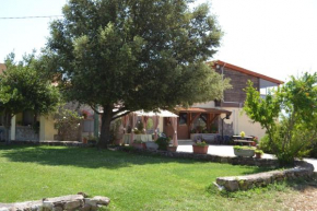 Hotels in Tula